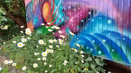 Blumen